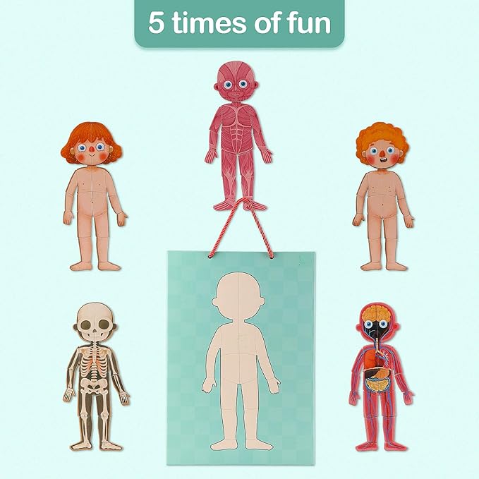 Human Body Puzzle for Kids Toddlers 90PCS Magnetic Boy Girl Anatomy Play Set Body Parts Organs Muscles Skeleton and Bones Wooden Puzzle Toys Aged 3+ Educational Learning Preschool Toys