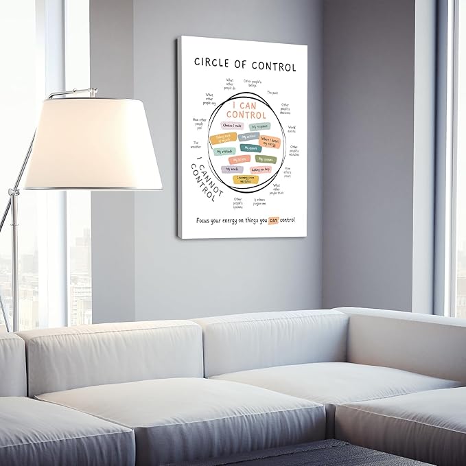Circle Of Control Poster What I Can And Cannot Control Therapy Office Wall Art Kids Mental Health Poster Calm Down Corner School Decor 20x30in Framed
