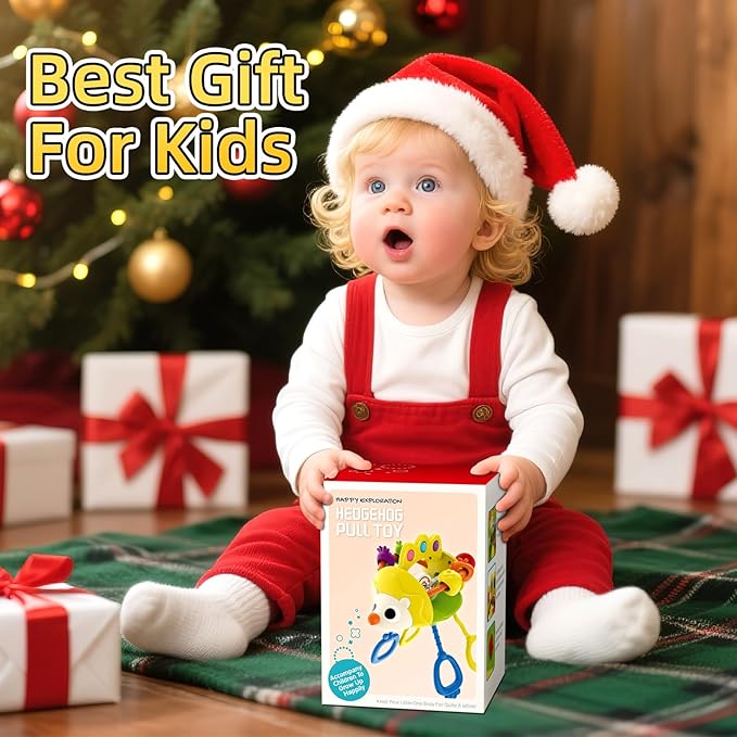 Baby Sensory Toys for 3-6-9-12-18 Months, Silicone Pull String Toy, Baby Birthday Gifts for 1 2 Year Old Boy Girl Infant 5 7 8 9 10 Months Old, Car Seat Airplane Travel Toy