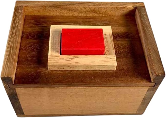 Difficult Puzzle for Adults - Hide The Red Stone Wood Puzzle - 9 Piece Brain Teaser