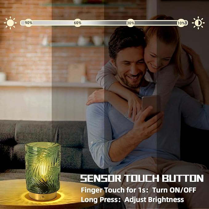 Rechargeable Battery Powered Lamp, Cordless Emergency Lamps for Power Outage, Decorative Small Accent Lamps for Entryway/Stairway/Bathroom/Corner, Dimmable Glass Battery Operated Table Lamp Indoor