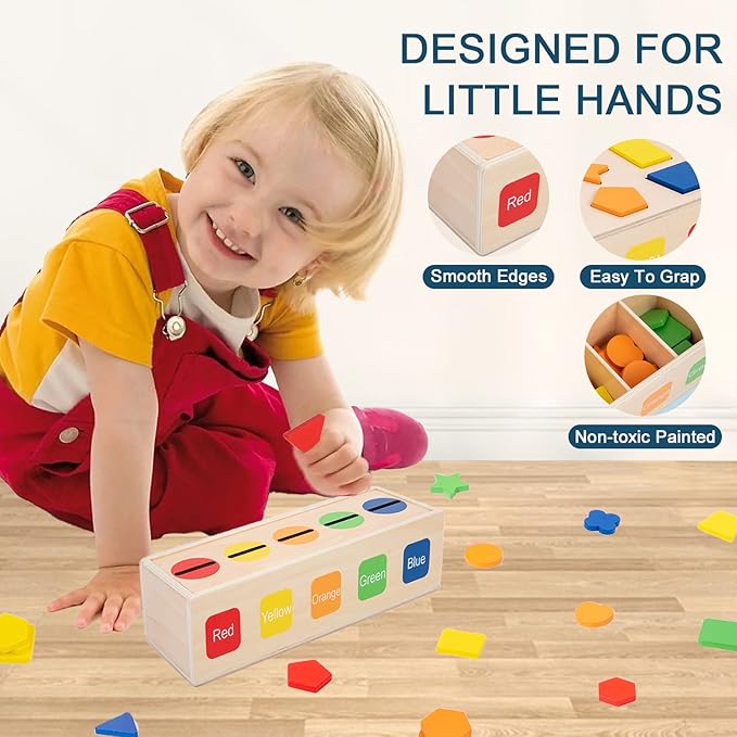 Adena Montessori Wooden Shape Sorter - Color Matching Learning Toys for 2-3 Year Olds (10 Shapes)