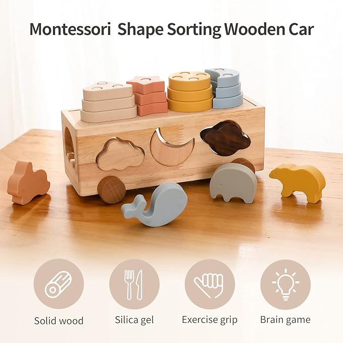 Shape Sorters for Toddlers 1-3, Wooden Toddler Toys, Montessori Toy Sorting & Stacking Toys, Shape & Color Recognition Educational Toys Learning Activities for Baby Boys Girls 1 2 3 Year Old