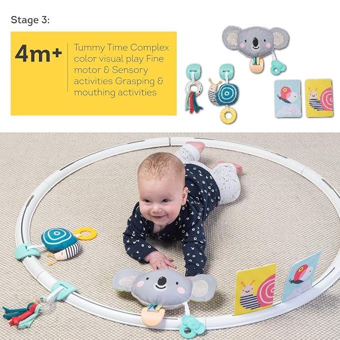 Taf Toys All Around Me Activity Hoop | Developmental Hoop, Prefect for Newborns and up, with 24 Developmental Activities. Designed to Promote Baby’s Senses, Motor Skills and Cognitive Development