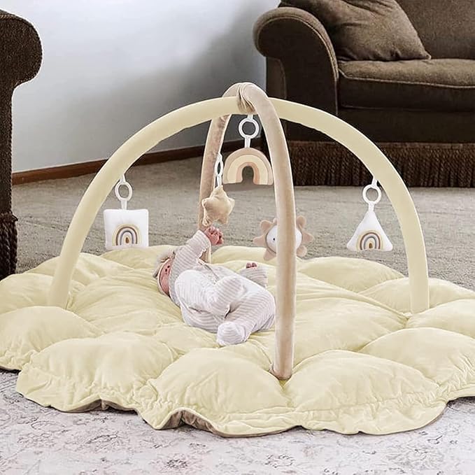 5-in-1 Thick & Plush Baby Play Gym, Baby Play Mats for Floor, Tummy Time Mat with 6 Toys, Cat and Dog Bed, Convertible Stage-Based Developmental from Babies to Toddler, Ball Pit, Pet Cushion, Cloudico
