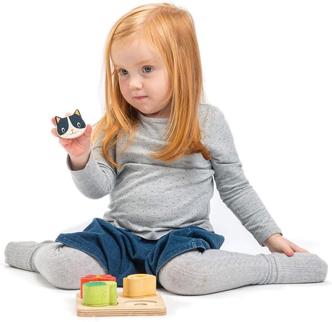 Tender Leaf Toys - Sensory Trays - Baby Blocks, Shape Sorter, STEM Learning Shape Identification Sorting Game Toy for Kids 18 Month + (Touch Sensory Trays)