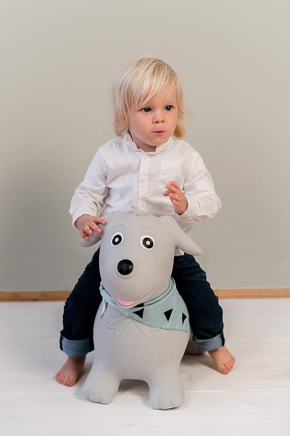 Kindsgut Bouncy Animal Hopper Dog for Children, Designed in Germany, Playful and Modern Colors, air Pump Included, Indoors and Outdoors