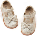 Felix & Flora Toddler Little Girl Mary Jane Dress Shoes - Ballet Flats for Girl Party School Shoes