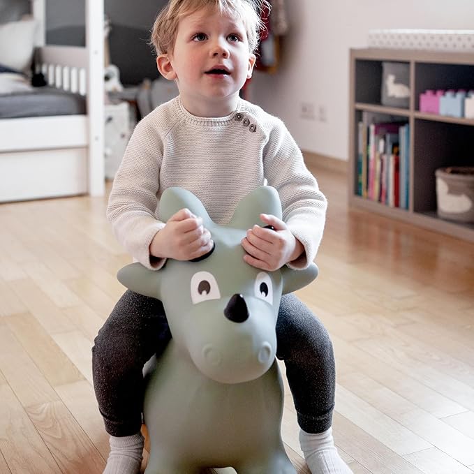 Kindsgut Bouncy Animal Hopper Dino for Children, Designed in Germany, Playful and Modern Colors, air Pump Included, Indoors and Outdoors
