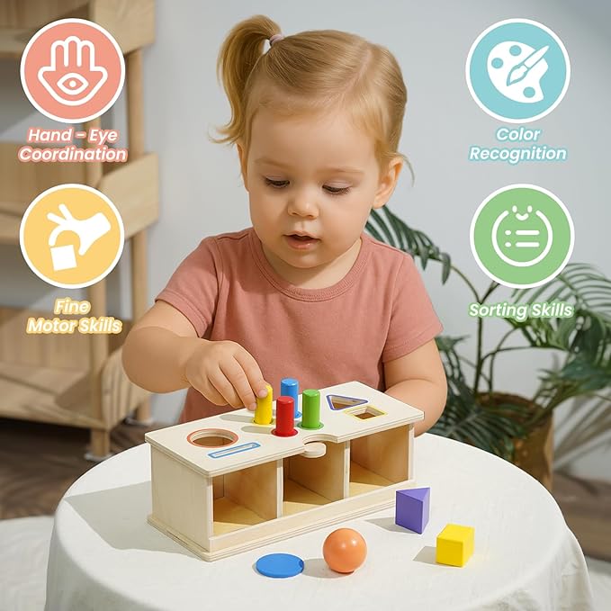 Montessori Toys Wooden Color & Shape Sorter Toys for Toddlers 1-3, Matching Box Sorting Blocks Manipulatives Preschool Learning Educational Toy for 1 2 3 4 Year Old Boy Girl Kid Gifts