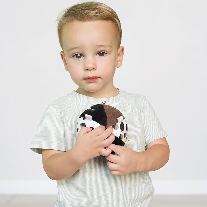 Wee Gallery Taggy Ball with Rattle, Soft Sensory Baby Toy, Sensory Ball with Organic Cotton Fabric, Little Tags & Gentle Rattle for Tummy Time, Grasping & Developmental Play, Acorns