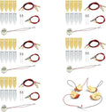 5 Sets Fruit Battery Science Experiment Kit for Home Teaching Toy, Orange Lemon Potato Battery Physics Teaching Experiment with Electronic Clock Educational Toy for Students