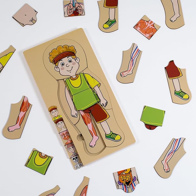 My Body Parts Puzzle for Toddlers Kids Girls Boys Montessori Wooden Anatomy Puzzle 3-5 Years Old Preschool Learning Game Human Body Cognitive Toys