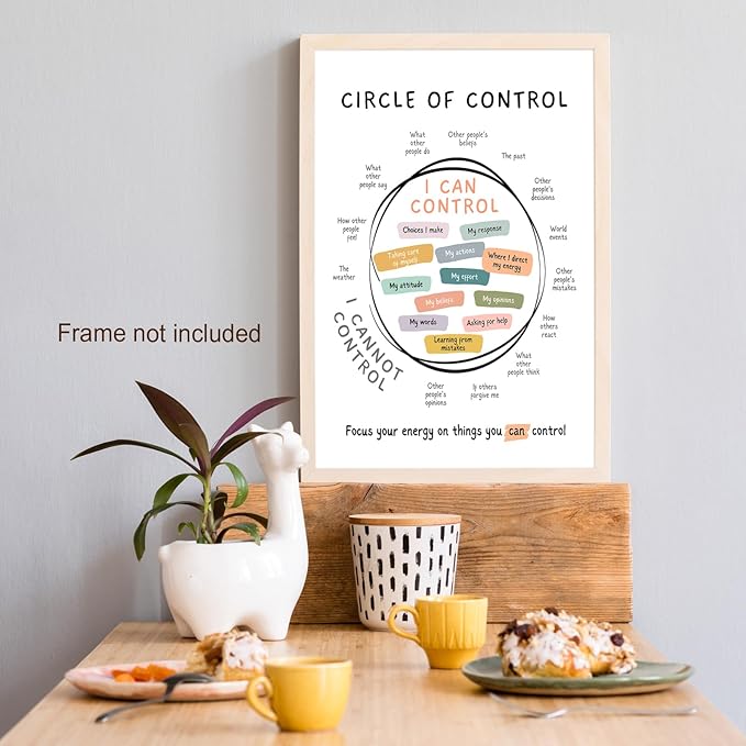 Circle Of Control Poster What I Can And Cannot Control Therapy Office Wall Art Kids Mental Health Poster Calm Down Corner School Decor 12x16in Unframed