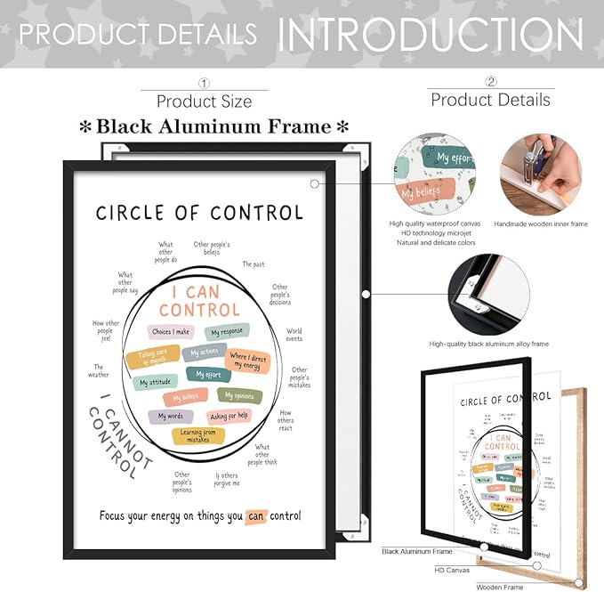 Circle Of Control Poster What I Can And Cannot Control Therapy Office Wall Art Kids Mental Health Poster Calm Down Corner School Decor 12x16in BlackFramed