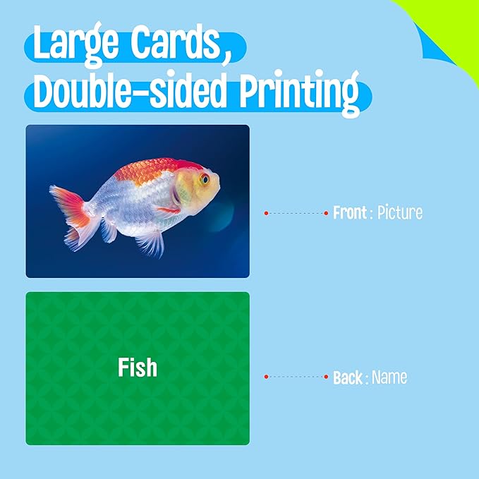 50 Noun Flashcards, Picture & Word Photo Cards Language Builder Visual Aid Language Learning Tool for Autism, ESL Teaching Materials for Adults, Non-Verbal Children Vocabulary Builder for Kids