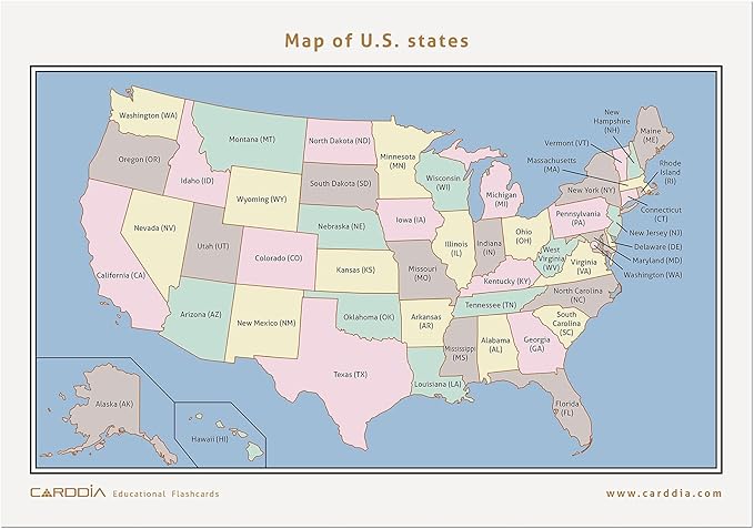 CARDDIA | U.S. State Flags Flashcards | 50 States with Names, Abbreviations, Capitals & Facts | Educational & Durable | Geography Learning Gift for Kids & Adults