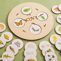 Wooden Life Cycle Tray for Kids - Frogs, Butterflies, Chickens, 40 Pieces - Preschool Learning Activities Puzzle Board, Toddlers Education Kit, Classroom Toys for Boys and Girls
