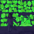 Glow in The Dark Sea Turtle Stickers, 31 PCS Glowing Luminous Ocean Turtles Wall Decals Turtle Ceiling Stickers for Kids Boys Girls Bedroom Nursery Playroom Party Room Decor