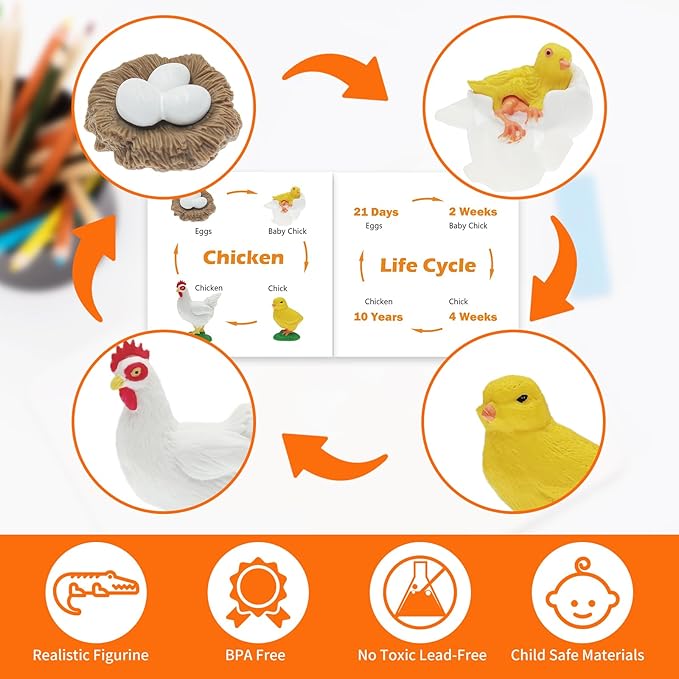 Montessori Life Cycle Animal Figurines Learning & Education Toys, Plastic Turtle Chicken Ant Plant Mantis Salmon Toys for Kids, Preschool Learning Activities for Toddlers
