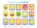 Circle Up Emoji Emotions Chart 10-Pack – 8.5x11 Laminated SEL Tool for Emotional Check-Ins & Conversations – Double-Sided Feelings Chart for Counselors, Educators, Therapists & Social Workers (5 Emoji & 5 Feeling Wheel)
