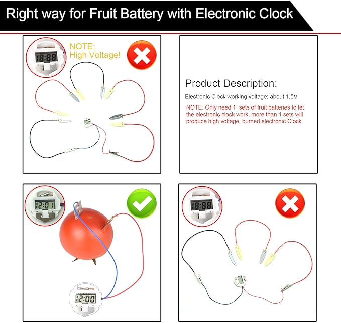 EUDAX Fruit Battery Science Experiment Kit with Electronic Clock and RGB LED for DIY Home Teaching Equipment, School Science Project, Education Subject