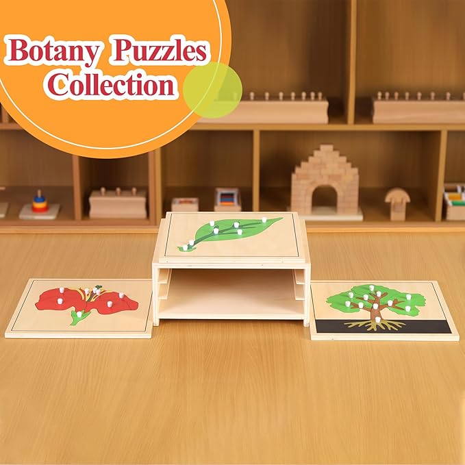 MONTESSORI OUTLET Nature Materials Leaf Puzzle Early Preschool Learning Toys for 3-12 Year Old Kids and Toddler