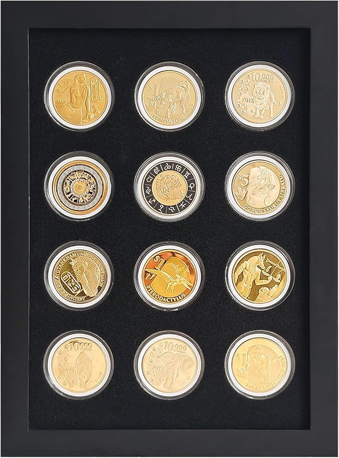 Wooden Challenge Coin Display Shadow Box,12 Coin Display Case,Military Coin Holder Display,Casino Chip Display Case Cabinet Holder,Collector Coin Display Frame ,98% UV Protection,with HD Glass.