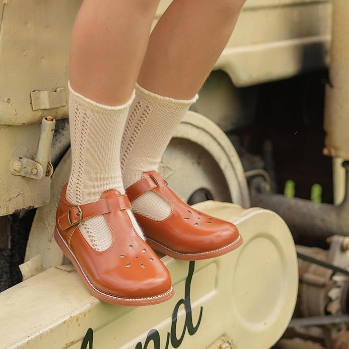 Felix & Flora Toddler Little Girl Mary Jane Dress Shoes - Ballet Flats for Girl Party School Shoes
