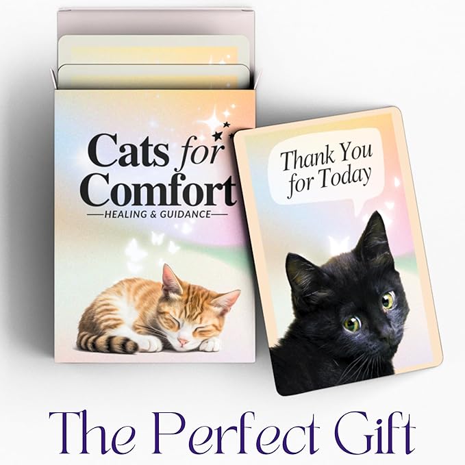 CATCHYOURDREAMS Cats for Comfort - 50 Inspirational Affirmations and Positive Activities for Healing and Peace - Stress Relief and Mindfulness Grief Cat Bereavement Sympathy Gift for Women