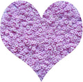 3000Pcs Clay Beads Flat Round Polymer Bead Vinyl Heishi Beads Flat Round Polymer Bead Flat Clay for Jewelry Making Necklace Bracelet (24-White+Purple)