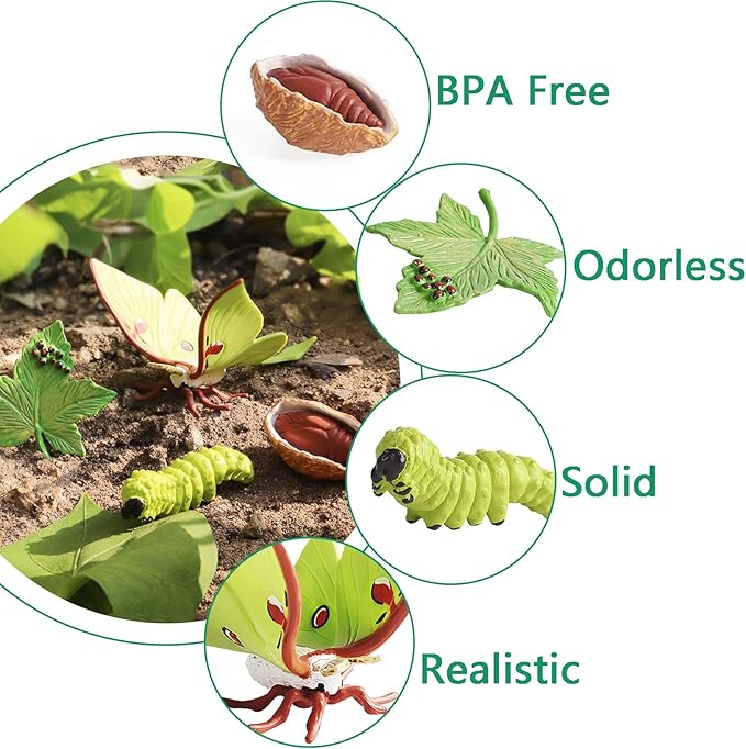 8PCS Life Cycle Figurines of Monarch Butterfly and Actias Ningpoana, Realistic Education Insects Life Cycle Toys, Caterpillar to Butterfly Kit Growth Life Stages Figures for Learning and Teaching Aids