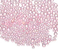 Iridescent Glass Tiny Bubble Beads, 0.4-3mm 10g No Hole Micro Mini Round Light Pink Water Droplets Beads - Applications: for Resin Filler, Nail Art, Dollhouse Bath Tub
