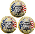 USMC 250th Anniversary Challenge Coin – Double-Sided Marine Corps Commemorative with Bulldog & Iwo Jima – Military Gift for Veterans & Collectors (3PCS)
