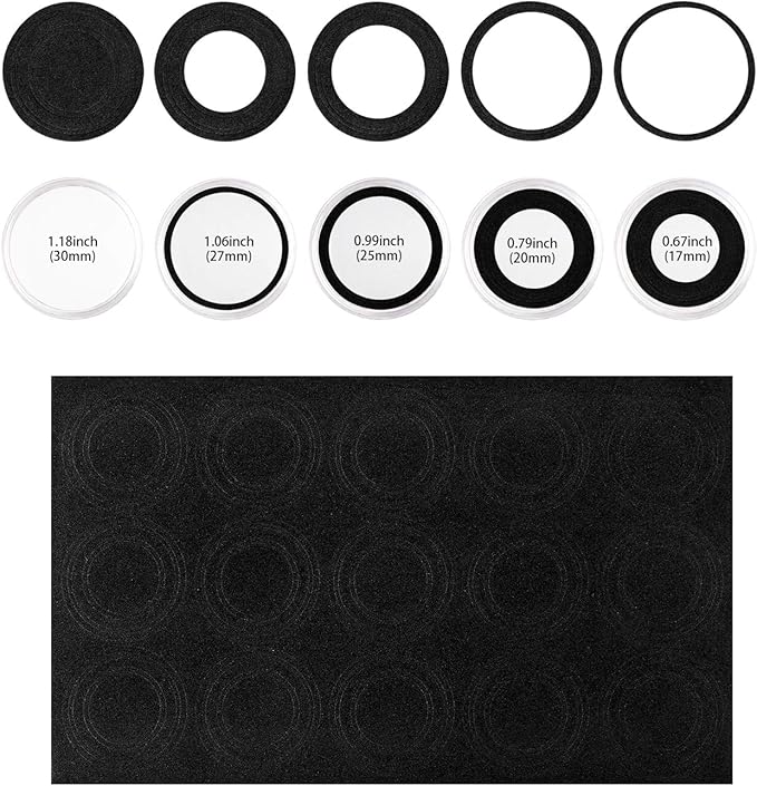 SPLF 100 Pieces 30mm Coin Capsules and 5 Sizes (17/20/25/27/30mm) Protect Gasket Coin Holder Case with Plastic Storage Organizer Box for Collection Supplies