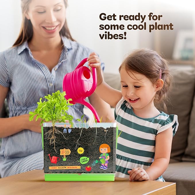 Dan&Darci Root Viewer Kit for Kids - Grow Your Own Plant for Boys & Girls Gifts - Science STEM Toy & Craft Growing Kits for Ages 4-8 Birthday Gifts for Boy, Girl 4, 5, 6, 7, 8, Year Old - Gardening