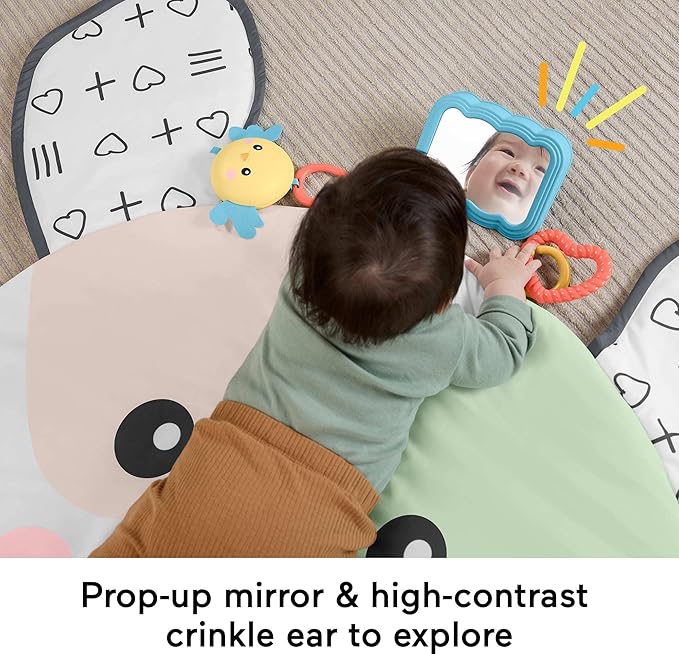 Fisher-Price Baby Tummy Time Toy, Puppy Perfection Giant Play Mat with Sensory Development Activities for Newborns 0+ Months (Amazon Exclusive)
