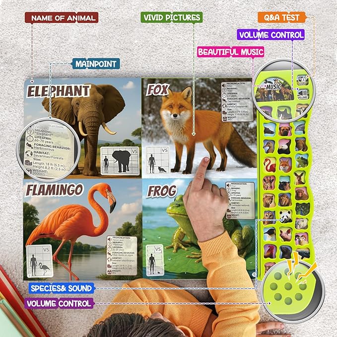 Listen & Learn: 30 Animal Sounds Book - Educational Learning Toys Gift for Boys Girls Toddlers Busy Book