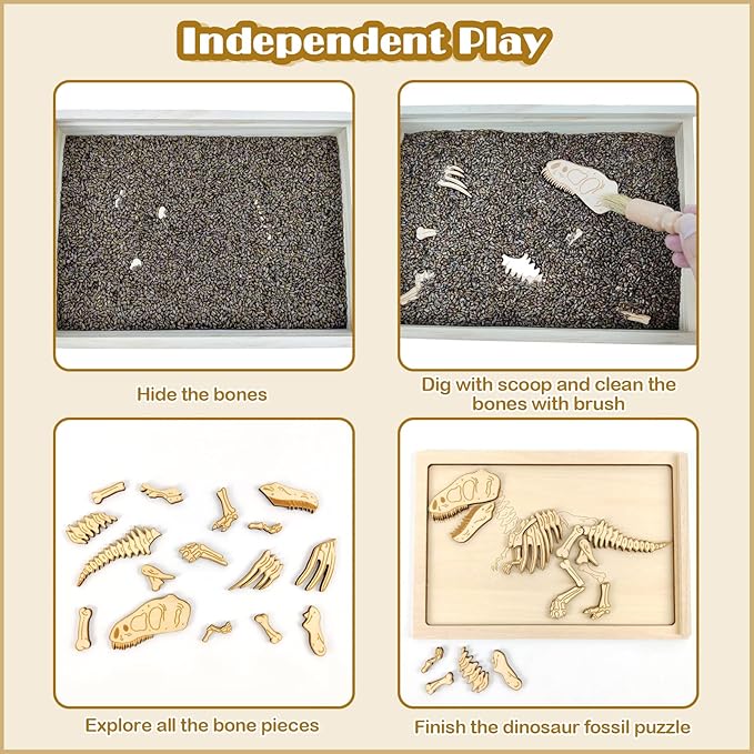 Xylolin Dinosaur Excavation Archaeology Dig Kit for Kids, Fossil Explore Sensory Bin Toys, Dino Skeletons Bones Puzzle Game, Archaeology Science STEM Toys for Boys and Girls (Tyrannosaurus)