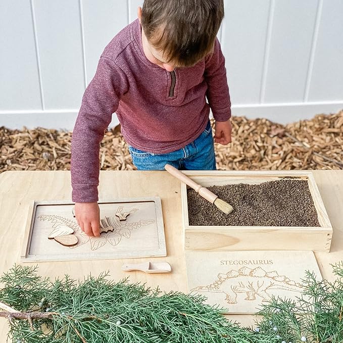 Dinosaur Excavation Archaeology Dig Kit for Kids, Fossil Explore Sensory Bin Toys, Dino Skeletons Bones Puzzle Game, Archaeology Science STEM Toys for Boys and Girls (Stegosaurus)