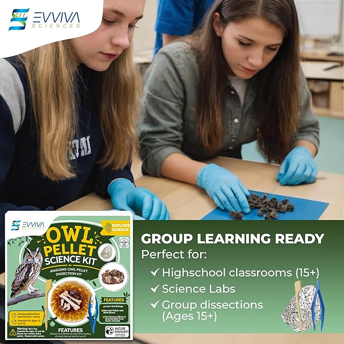ES EVVIVA SCIENCES Owl Pellet Kit - Dissect 15 Mostly Small Real Owl Pellets w/Tools & PDF Bone Charts - Science Education Kit for Ages 15+ - Hands-On Animal Biology Science Lab Activity