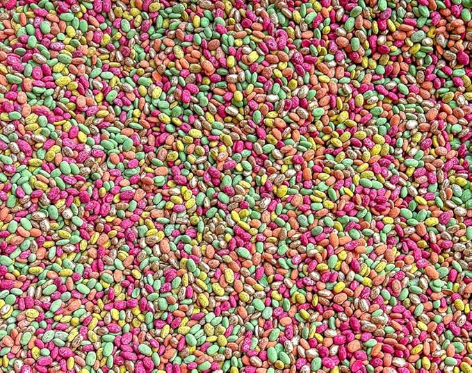 Fall Themed Sensory Beans - Colorful Sensory Bin Filler - 4 Cups