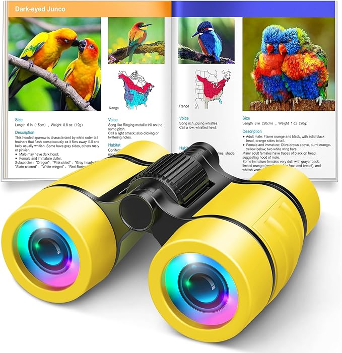 Toys for 3-7 Year Old Girl Boy: LET'S GO! Bird Watching Binoculars for Kids Ages 3 4 5 6 7 Year Old Girls Boys Outside Learning Toy for Kid Christmas Preschool Gift Toddler Binoculars Toy Stuffers