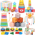 Montessori Baby Toys 6-12 Months Sensory Boxes & Teethers. 6-in-1 Stacking Blocks with Crab Design. Shape Sorting & Sensory Toys for 6-36 Months Babies.