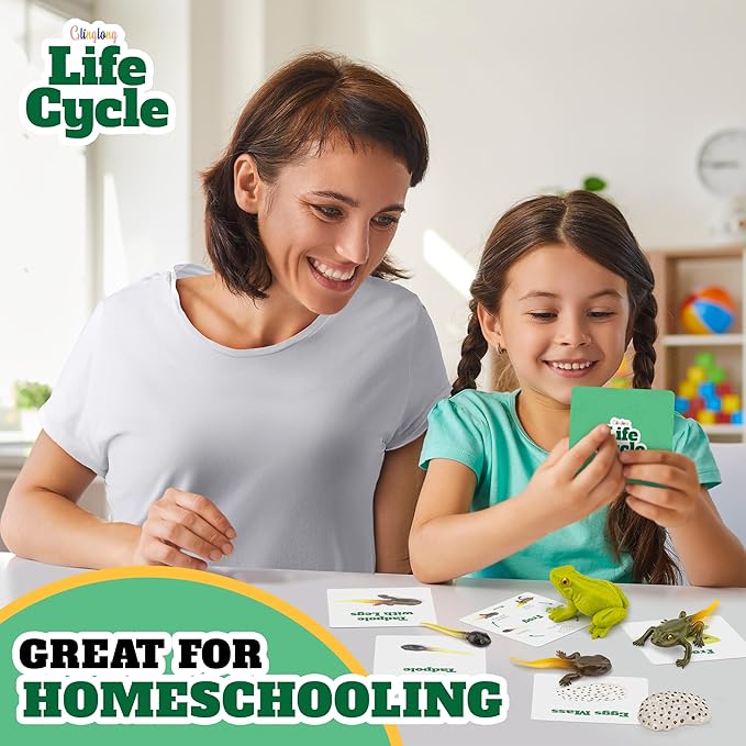 Life Cycle Kit Montessori - Realistic Figurine Toys, Kids Animal Matching Game with Frog Animals, Stocking Stuffers Science, Fun for Learning & Education Toys, for Children 3+