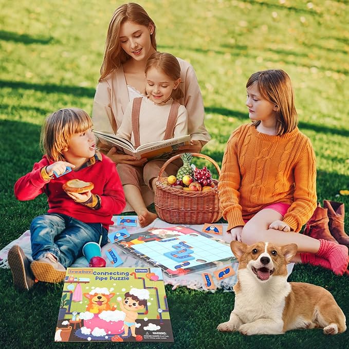 Logical Puzzle,Sequence Matching Game,with Cards（30 Scenes）,Classic Path Planning Toy,STEM Educational Toys,Family Game,Logic Labyrinth Games for Adults and Kids(2 Puzzles).