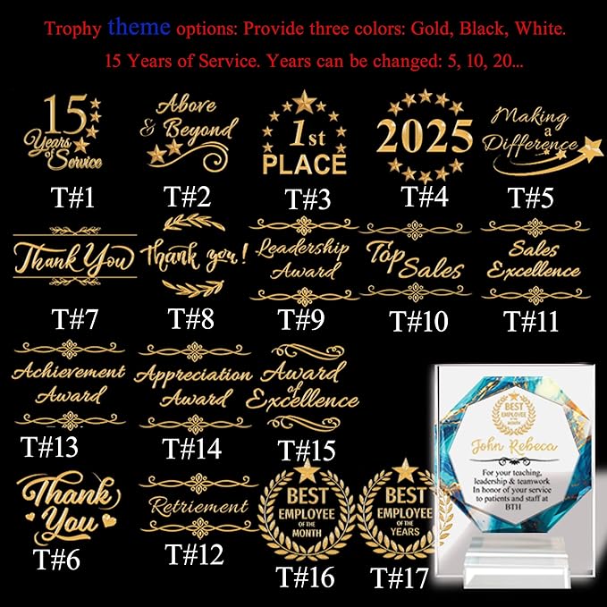 Custom Engraved Acrylic Employee Recognition Award – Personalized Appreciation Trophy for Corporate Excellence – Desk Display Plaque with Free Customization (Style #5)