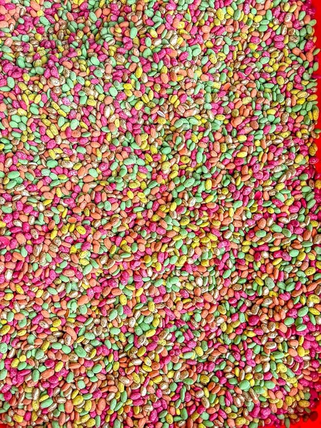 Fall Themed Sensory Beans - Colorful Sensory Bin Filler - 4 Cups