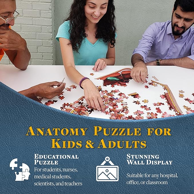 Dr. Livingston's Human Feet Anatomy Puzzle - A Medically Accurate Jigsaw Puzzle of The Feet - Educational Toy of The Human Body - Unique Shaped Puzzle for Doctors, Nurses and Medical Students