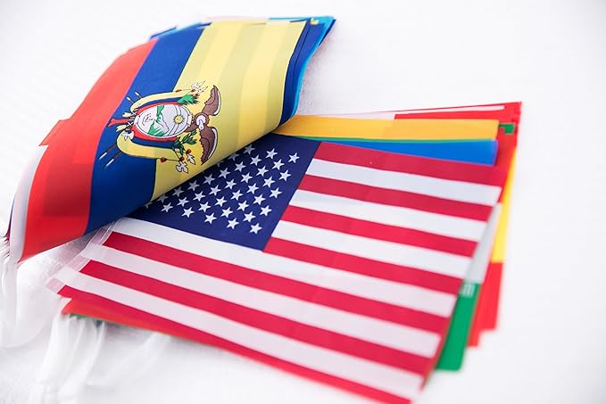 International Flags of The World 100 Countries Pennant Bunting World Flag Banner for Themed Parties, Grand Openings, Around the World Decorations